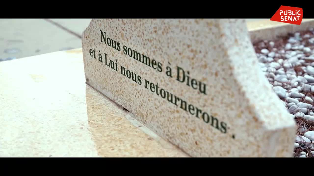 Marseille, ils ont tué mon fils