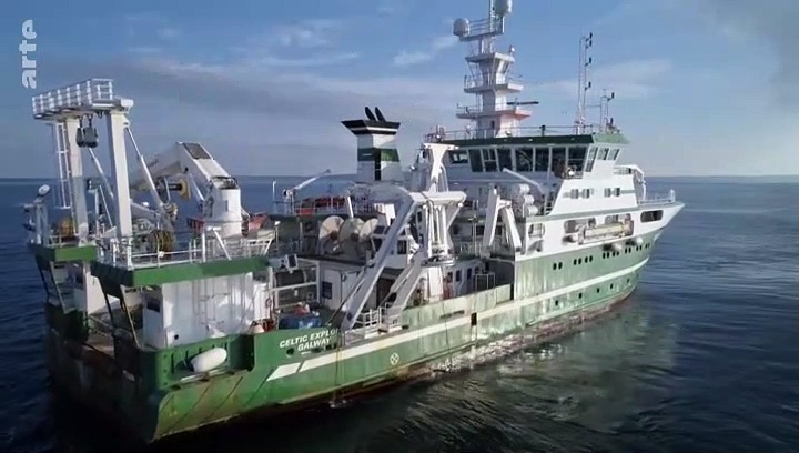 Au large de l’Irlande - Baleines et requins en eaux profondes