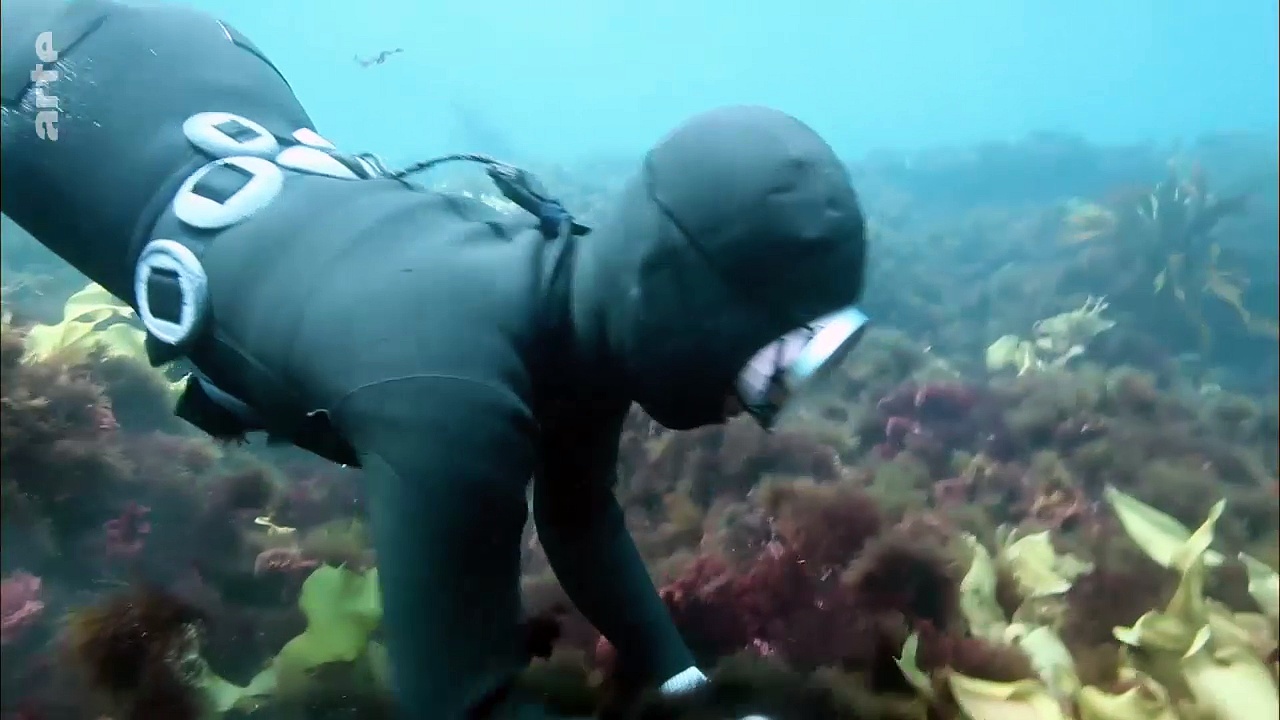 Documentaire Corée, les femmes de la mer