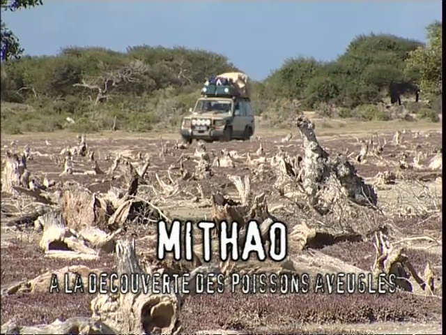 Latitude Malgache - Mitaho. Découvertes sous-marines