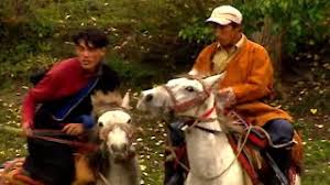 Ta Peshala, les mustangs du N&eacute;pal