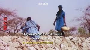 Agroécologie de survie en Afrique