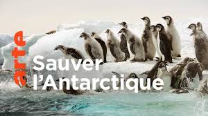 Antarctica, sur les traces de l’empereur