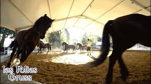 Dans les coulisses du cirque Alexis Gruss