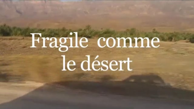 Fragile comme le désert