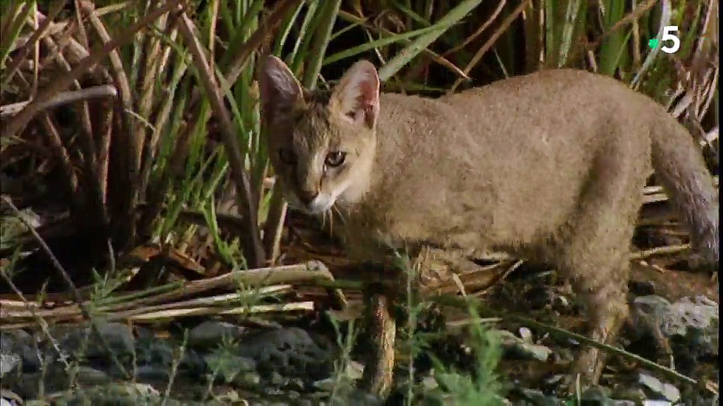 Documentaire Le Petit Caucase, entre l’Europe et l’Asie