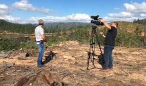 Documentaire Le pinus, un héritage aux multiples facettes !