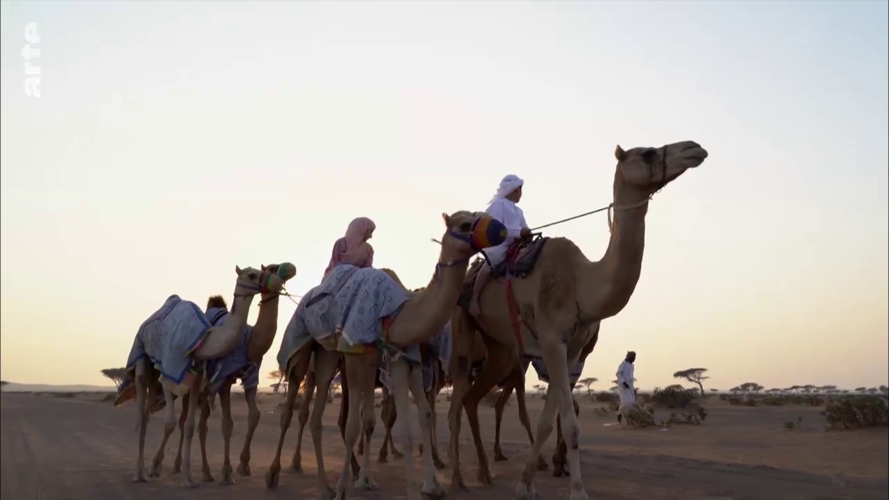 Mon beau village - Aux Émirats arabes unis