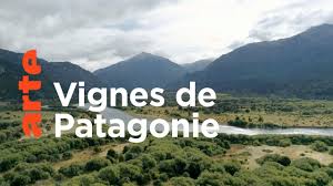 Documentaire Patagonie : les vignes du bout du monde
