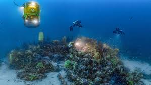Planète Méditerranée