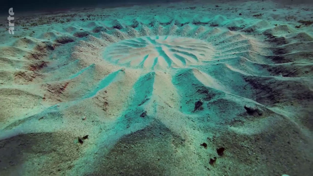 Documentaire Pacifique, un océan mystérieux