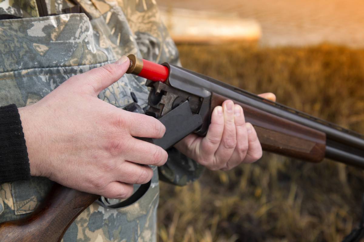 Chasse : être discret et se fondre dans la nature