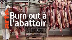 Entrée du personnel : immersion dans un abattoir
