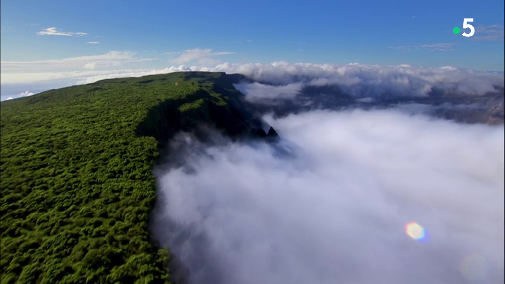 Documentaire Galápagos – S’adapter