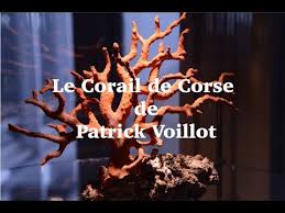 Documentaire Le corail de corse