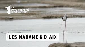 Documentaire Les îles Aix et Madame – Îles Atlantiques