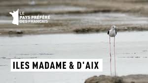 Les îles Aix et Madame – Îles Atlantiques