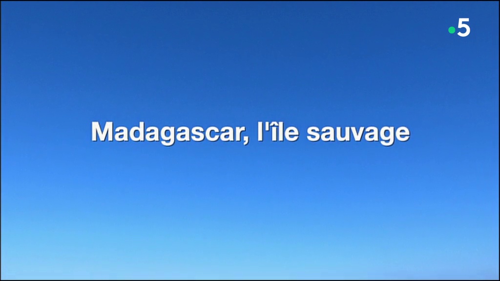 Documentaire Madagascar, l’île sauvage