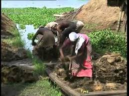 Documentaire Pêcheurs du Kérala