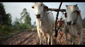 Documentaire Que notre joie demeure