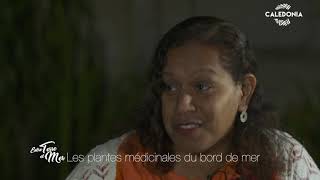 Documentaire Entre terre et mer – Les plantes du bord de mer