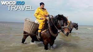 Flandres belges et « plat pays » – Voyage en Basse Belgique
