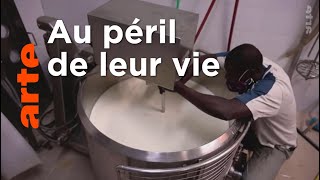 Documentaire Italie : l’insertion des Barikama par le yaourt