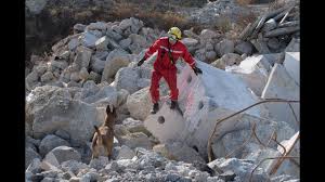La 40&egrave;me compagnie : pompiers au-del&agrave; des flammes