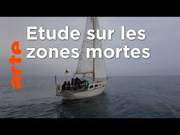 La Baltique, une mer en péril