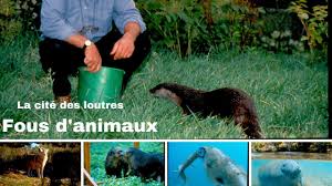 La cité des loutres - Fous d'animaux