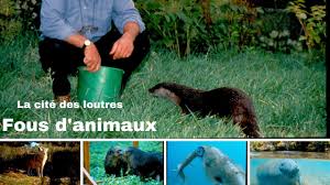 Documentaire La cité des loutres – Fous d’animaux