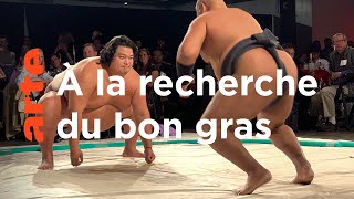 La graisse une alliée indispensable ? | À la recherche du bon gras