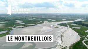 Le Montreuillois - Côte d'Opale