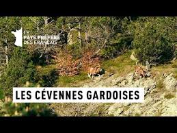 Les C&eacute;vennes Gardoises &ndash; C&eacute;vennes