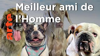 Comment le chien a conquis le monde ?