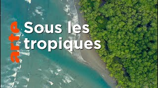 Costa Rica : la renaissance de la forêt sèche