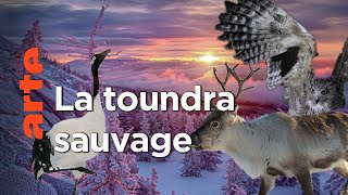 Dans les profondeurs de la taïga | Sibérie sauvage