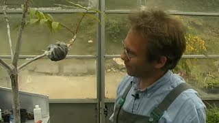 Découvrir et préserver les plantes oubliées