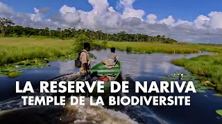 Documentaire La réserve de Nariva, temple de la biodiversité