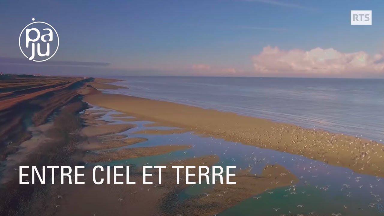 Documentaire Les amoureux de la baie de Somme racontent sa faune