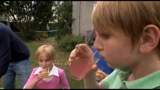 Mon soda chez moi : la révolution des bulles