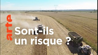 OGM : mensonges et vérités