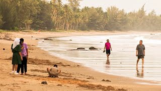 Documentaire Thaïlande, le nouveau paradis des Français (3/3)