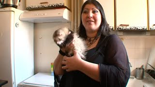 Documentaire Adopter un furet de compagnie, ça vous dit ?