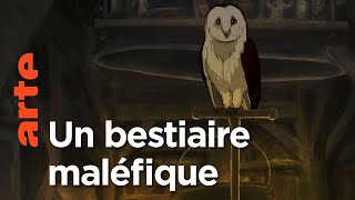 Des bêtes et des sorcières