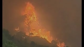 Documentaire Incendies en Grèce : les miraculés du Péloponnèse