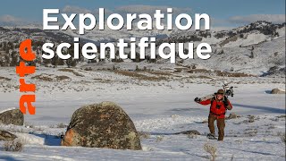 Le retour à la nature | Les derniers mondes sauvages (2/2)
