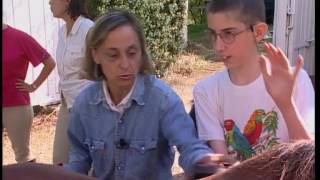 L'équitation pour personnes handicapés
