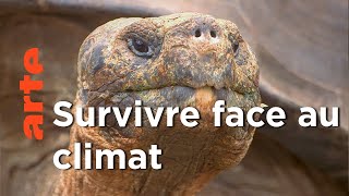 Les Galapagos - Province équatorienne