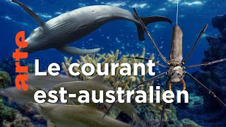 Les Tropiques | Australie, l'odyssée océanique